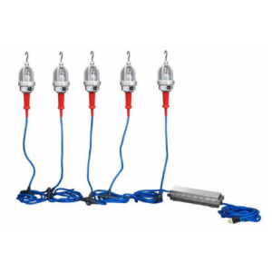 Light String, Explosion Proof, 12V